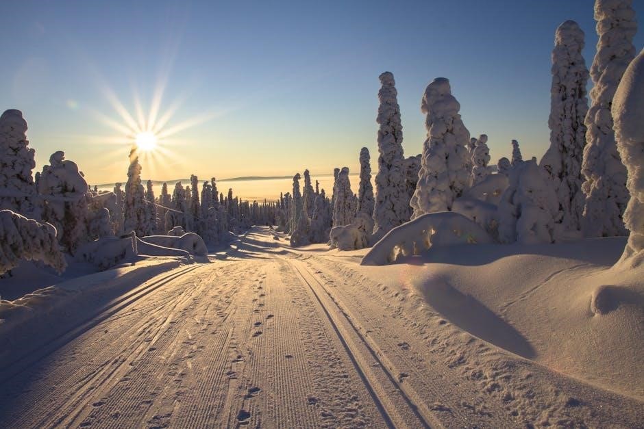 cross country ski size guide