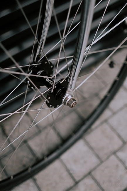 big bass wheel manual